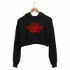The Banyan Tee Aerosmith Crop Hoodie - Crazy Crop Hoodies
