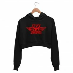 The Banyan Tee Aerosmith Crop Hoodie - Crazy Crop Hoodies