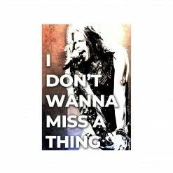The Banyan Tee Posters Aerosmith Poster - Don't Wanna Miss A Thing