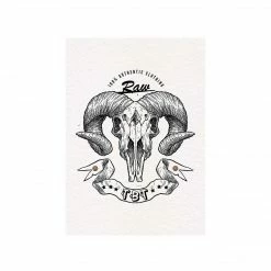 The Banyan Tee Poster - Skull