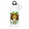 The Banyan Tee Sippers Sipper - Raasta Lion